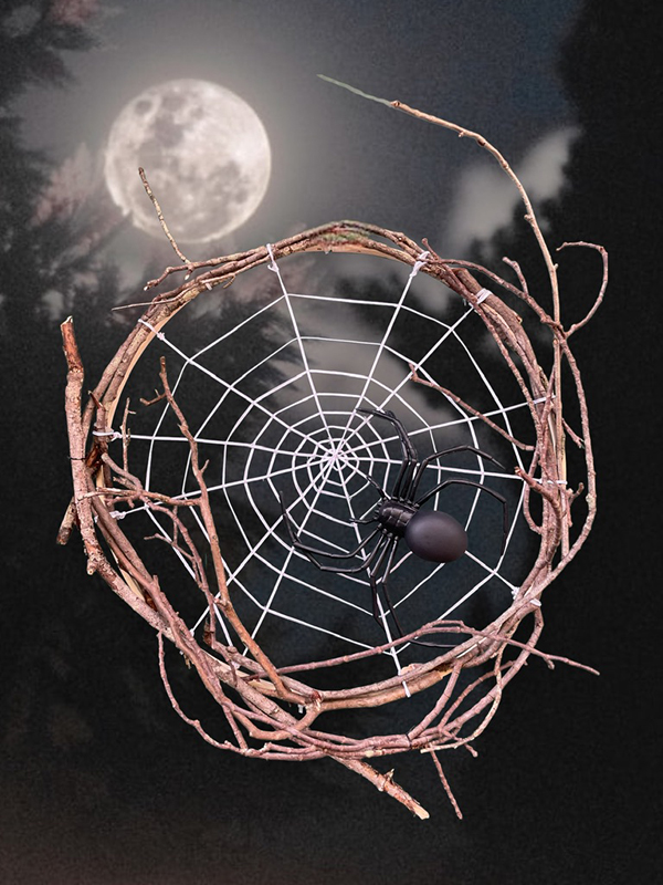 Sustainable Spider Web Wreath